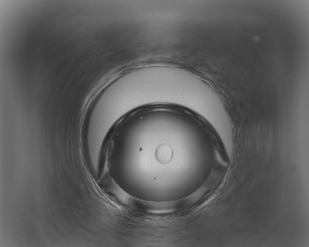 X0000067860293200604201341
