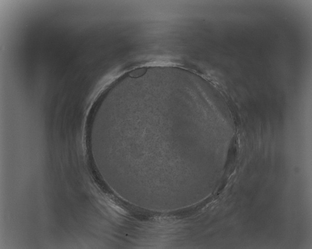 X0000067860296200604201341