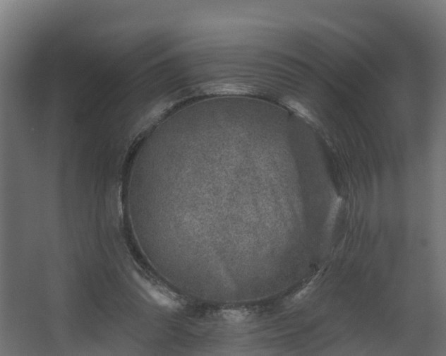 X0000067860302200604201341