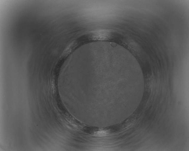 X0000067860312200604201340