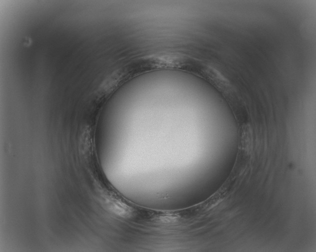 X0000067860318200604201340