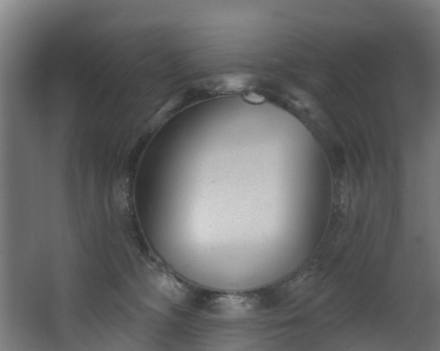 X0000067860326200604201340