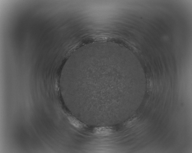 X0000067860331200604201340