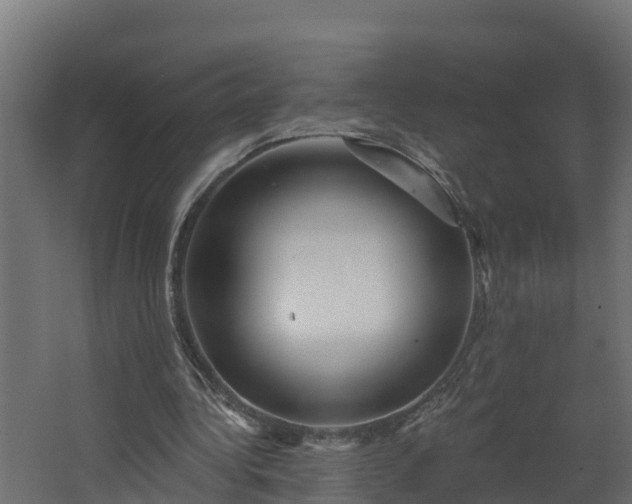 X0000067860340200604201339