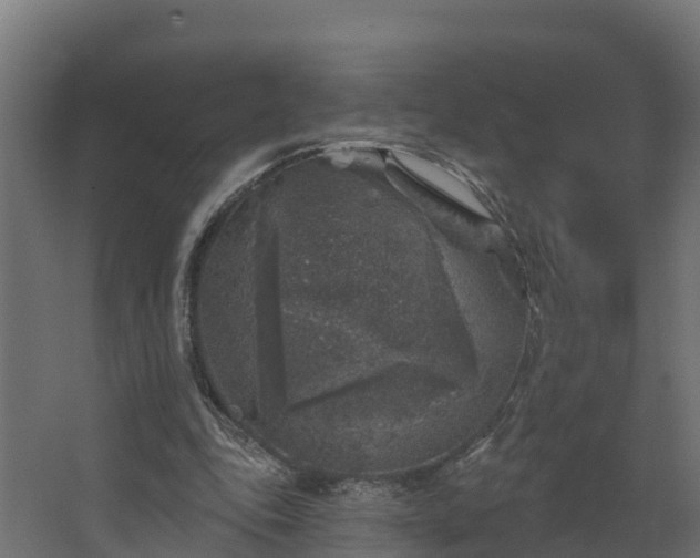 X0000067860343200604201339