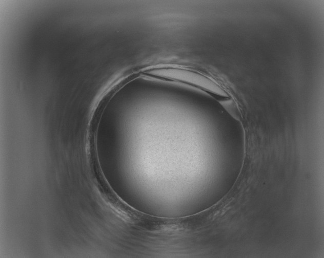X0000067860344200604201339