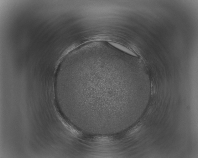 X0000067860349200604201339