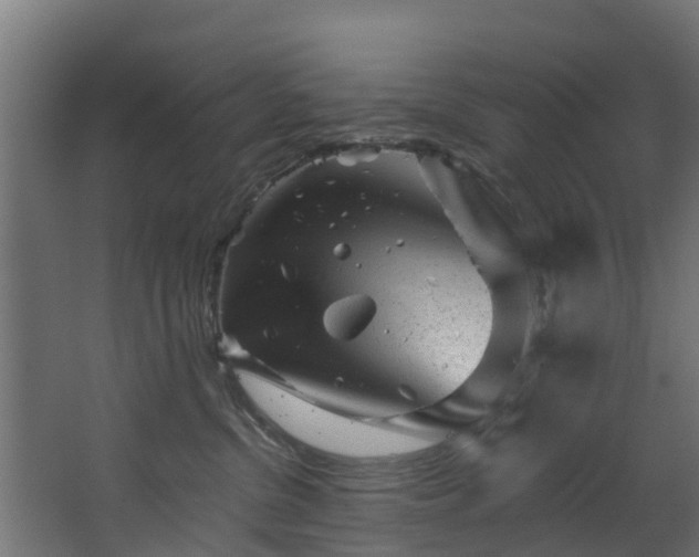 X0000067860380200604201340