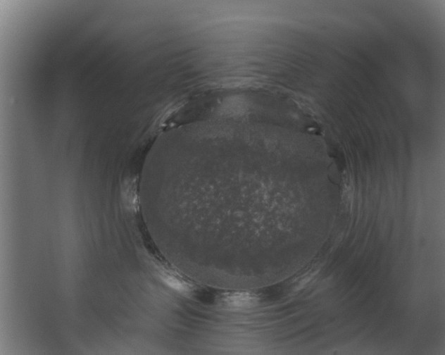 X0000067860383200604201340