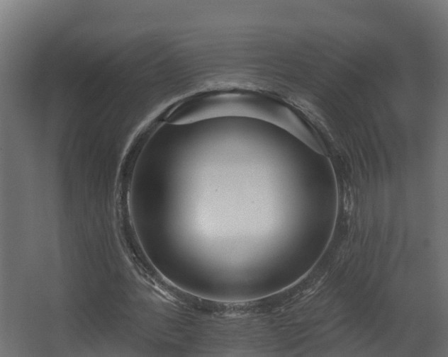 X0000067860388200604201339