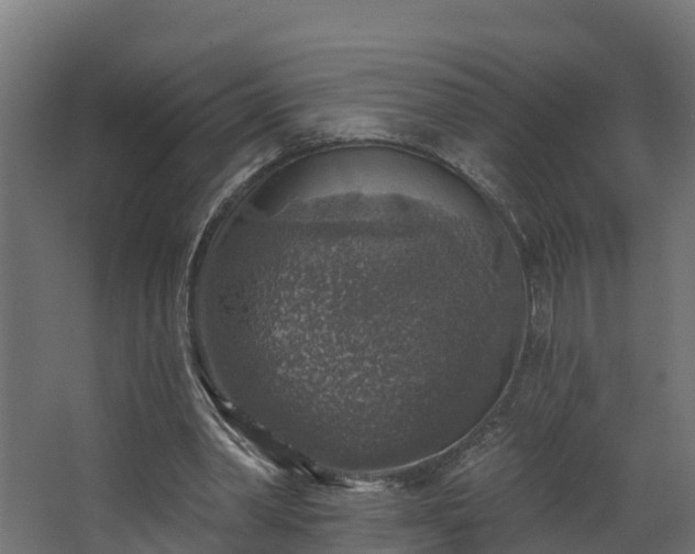 X0000067860390200604201339