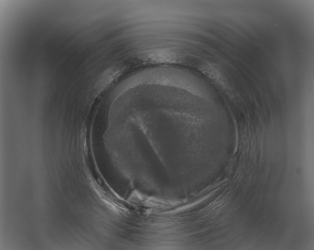 X0000067860398200604201339
