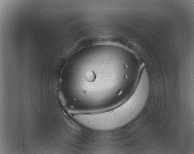 X0000067860409200604201339