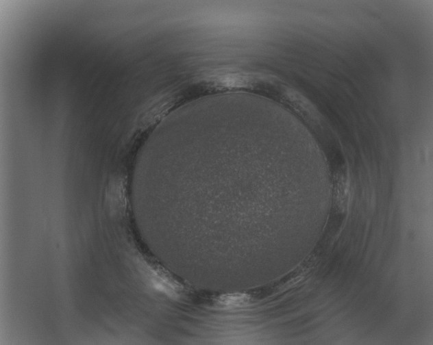X0000067860410200604201339