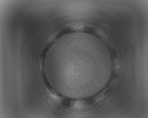 X0000067860412200604201339