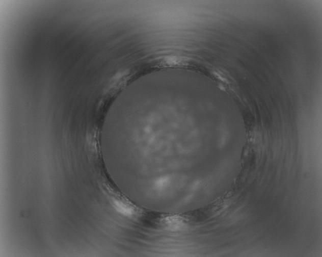 X0000067860423200604201339