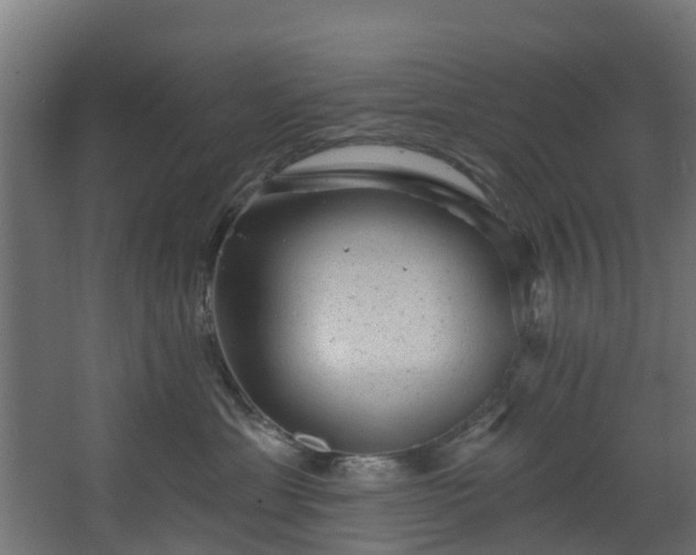 X0000067860429200604201338