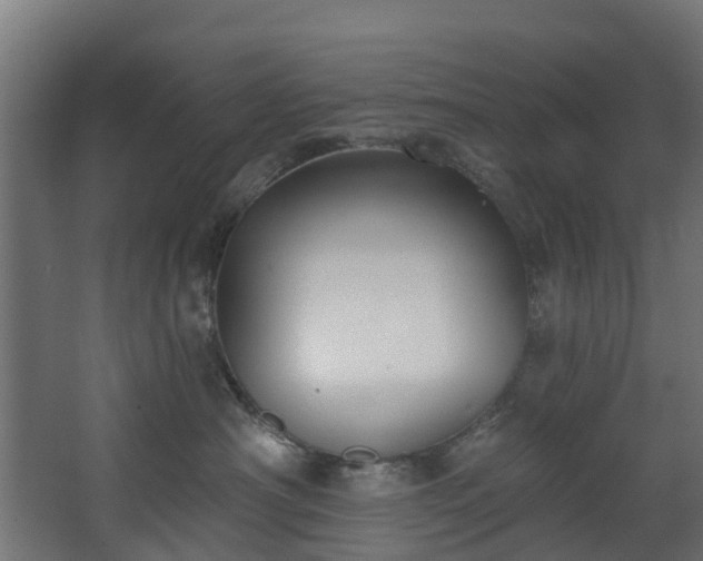 X0000067860430200604201338