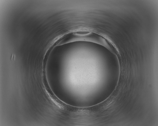 X0000067860437200604201338
