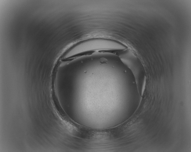 X0000067860438200604201338