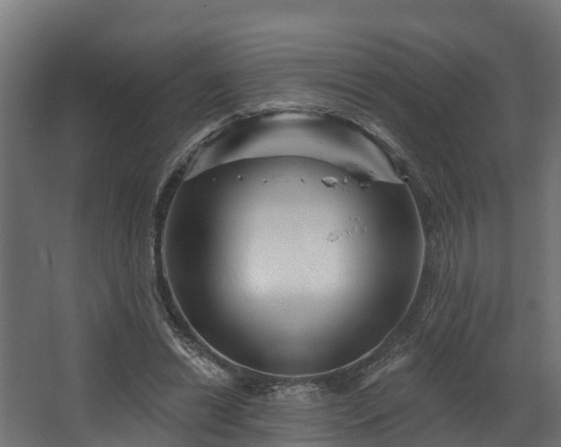 X0000067860446200604201338