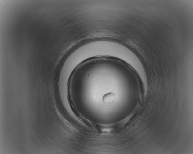 X0000067860448200604201338