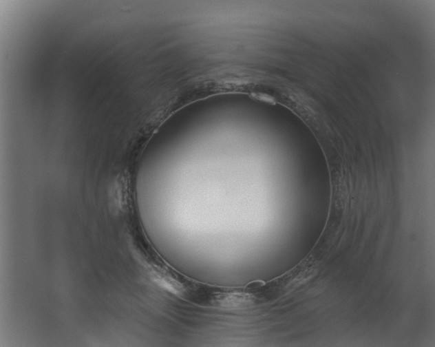 X0000067860463200604201338