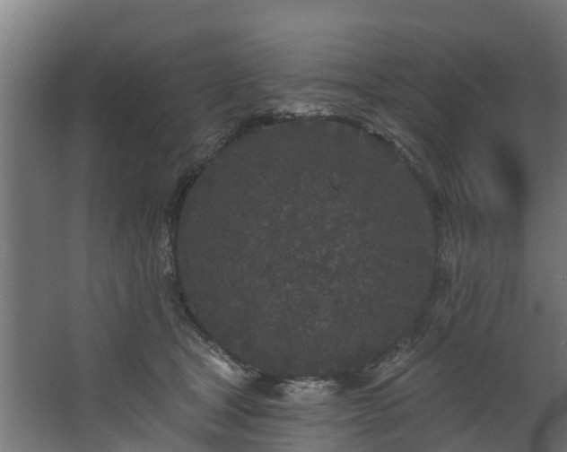 X0000067860465200604201338