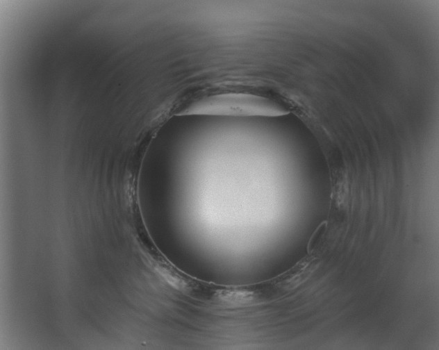 X0000067860476200604201338