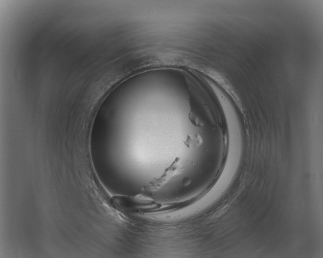 X0000067860481200604201338