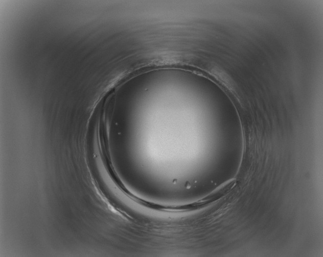 X0000067860485200604201337