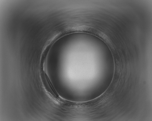 X0000067860486200604201337