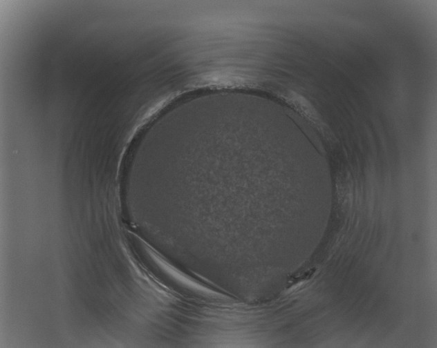 X0000067860488200604201337