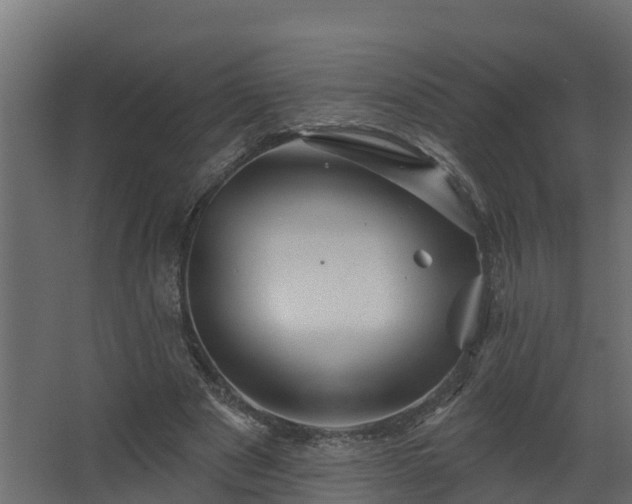 X0000067860489200604201337