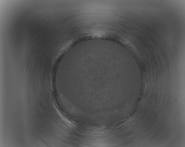 X0000067860496200604201337