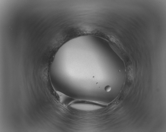 X0000067860509200604201337