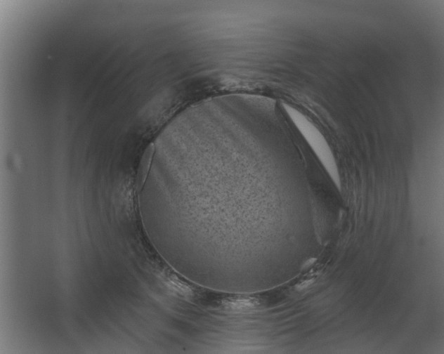 X0000067860513200604201337