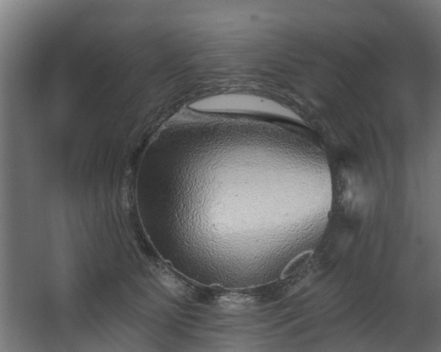 X0000067860515200604201337