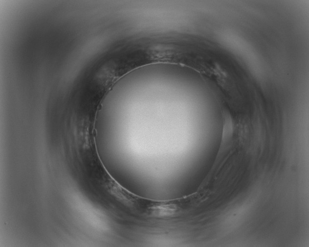 X0000067860525200604201337
