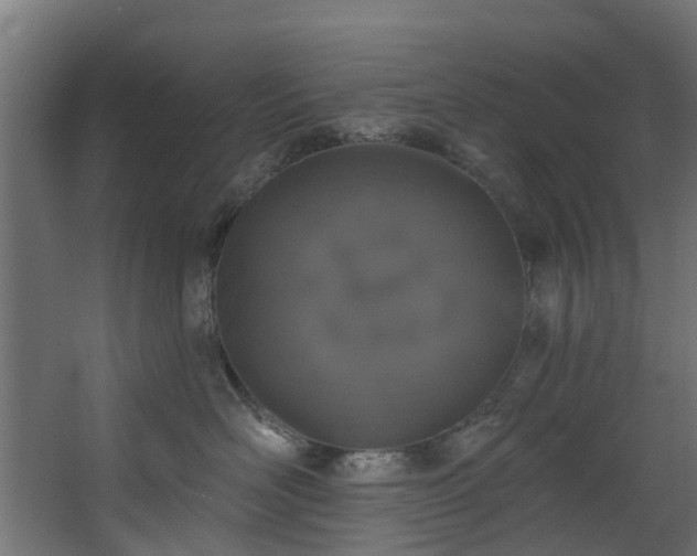 X0000067860526200604201337