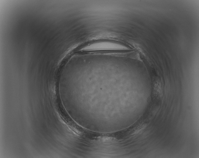 X0000067860539200604201336