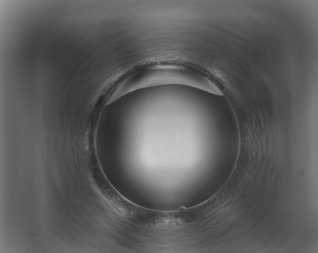 X0000067860543200604201336