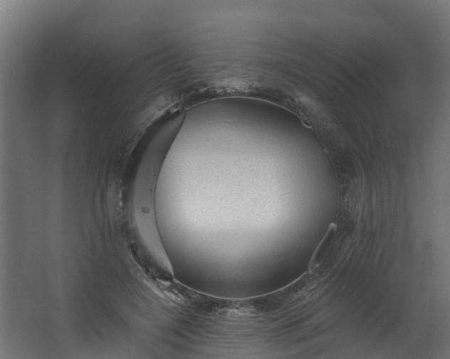 X0000067860548200604201336