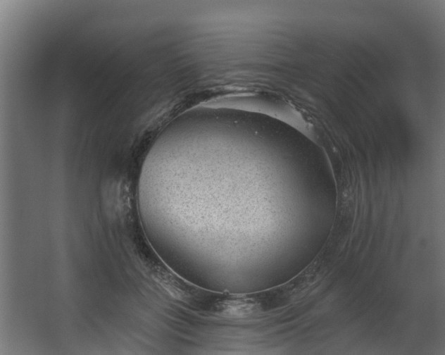 X0000067860555200604201336
