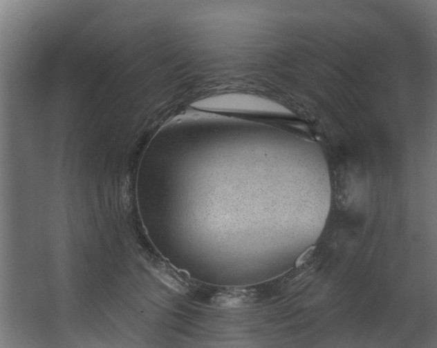 X0000067860563200604201337