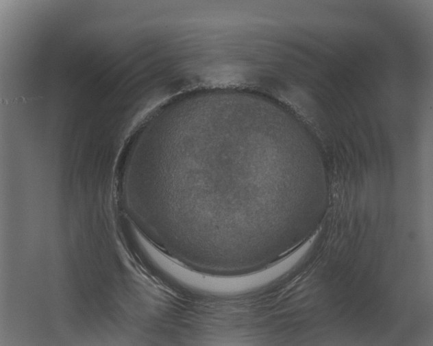 X0000067860583200604201336