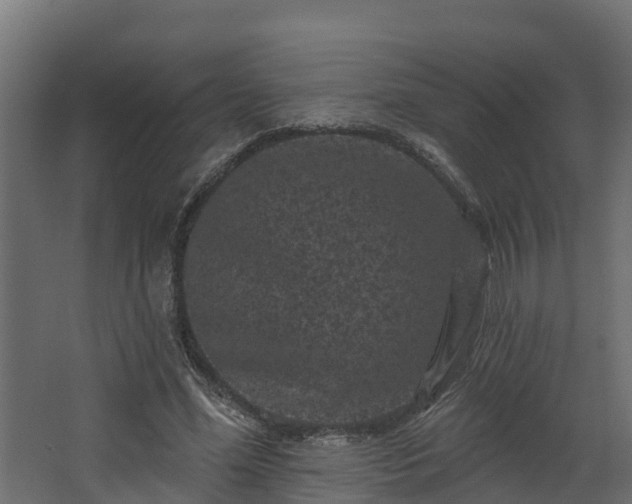 X0000067860588200604201336