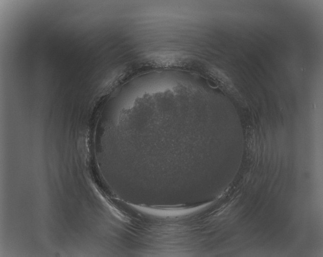 X0000067860590200604201336