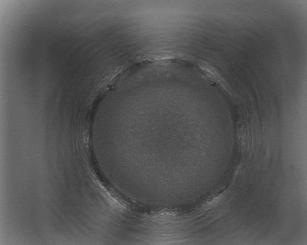 X0000067860593200604201336