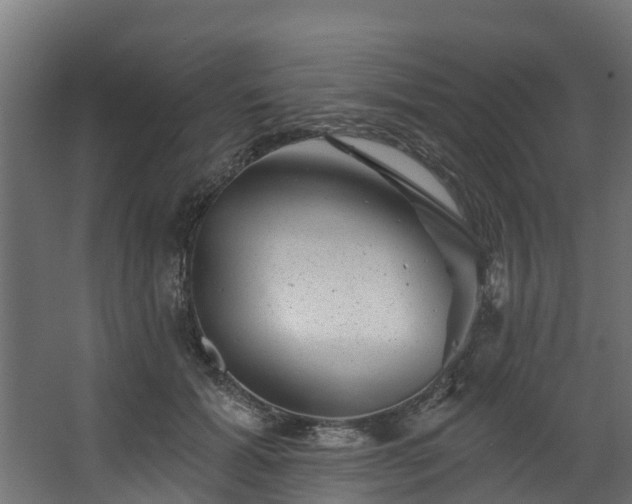 X0000067860605200604201335